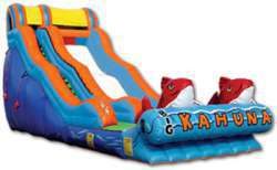 Slides Slides
