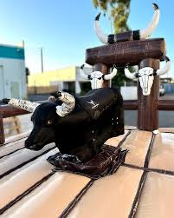 Mechanical Bull